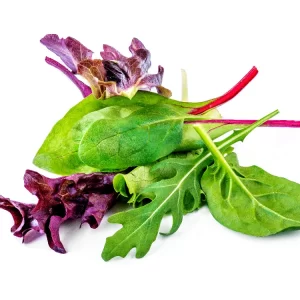 Bio Rucola Salat