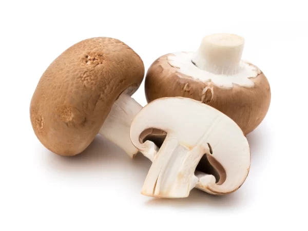 NaturWert Bio Creme Champignons