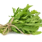 Rucola Rauke