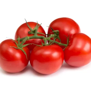 Strauchtomaten