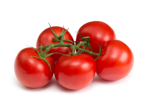 Strauchtomaten