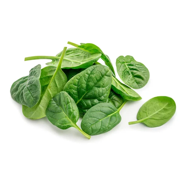 Baby-Leaf-weißem-hintergrund