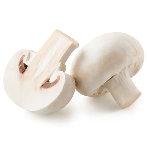 Champignon groß
