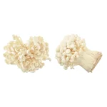 Enoki Pilze 100g