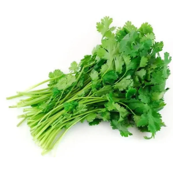 Koriander-2-kg-weißem-hintergrund