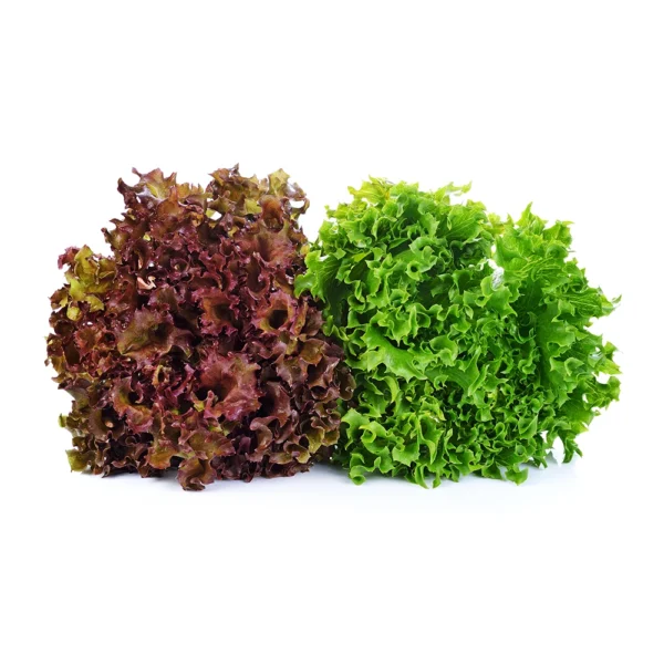 Mixsalat
