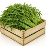 Rucola-kiste-1kg-good-fruit
