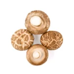 Shitake-Pilze