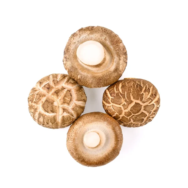 Shitake-Pilze